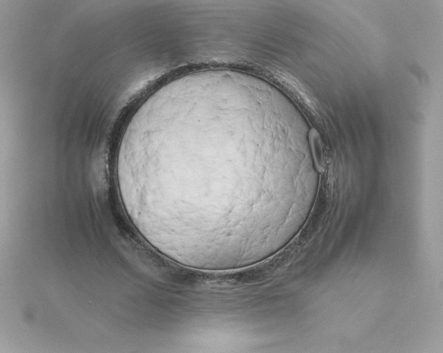 X0000115720680200911251917