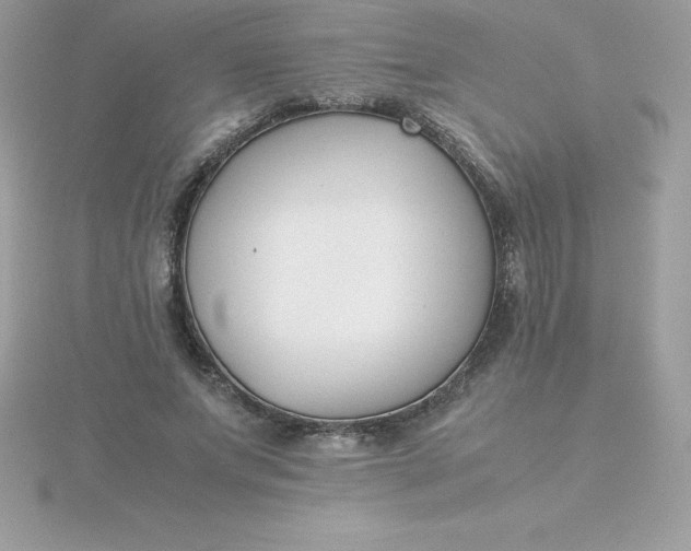 X0000115720687200911251917