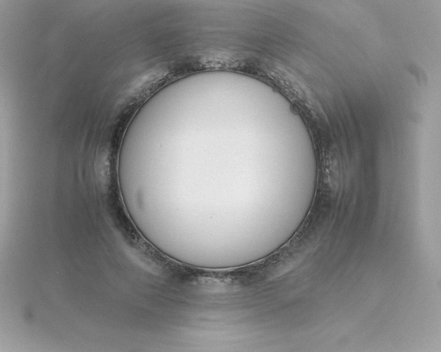 X0000115720690200911251917