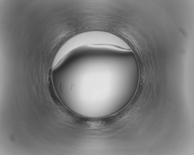 X0000115720693200911251917