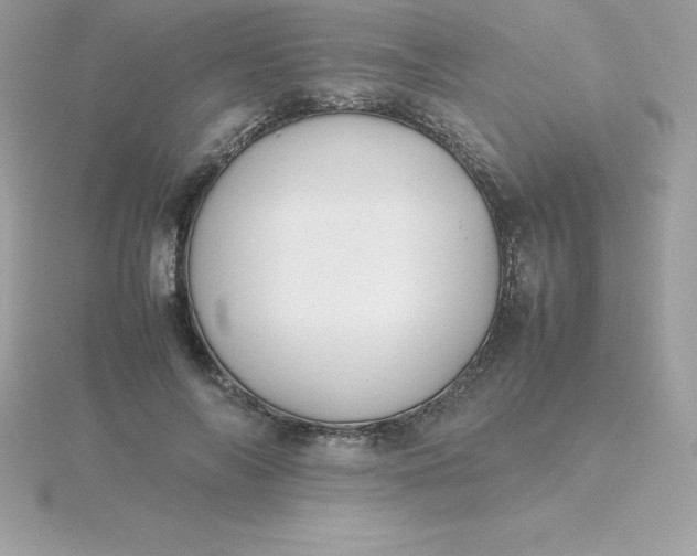 X0000115720694200911251917
