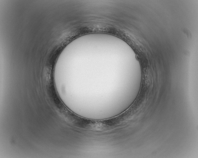 X0000115720695200911251917