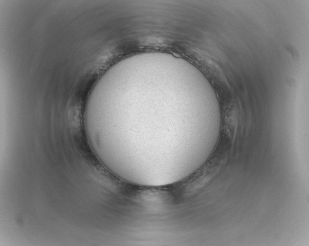 X0000115720708200911251917