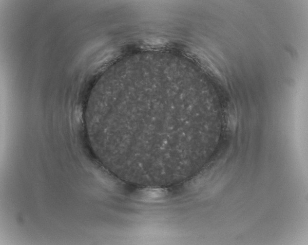 X0000115720711200911251917