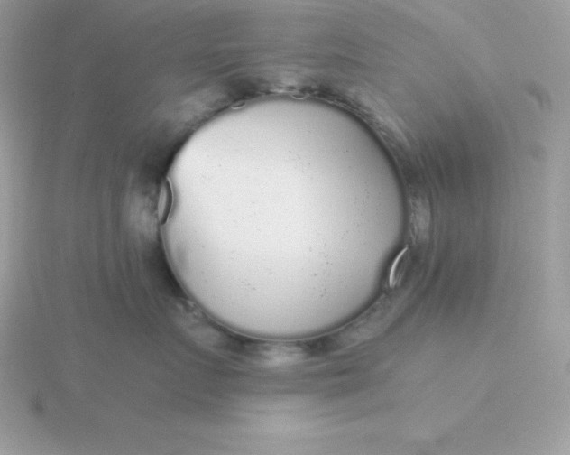 X0000115720719200911251917