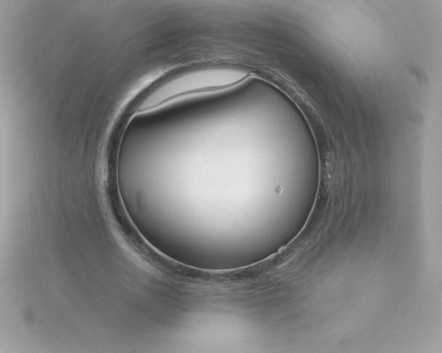 X0000115720726200911251916