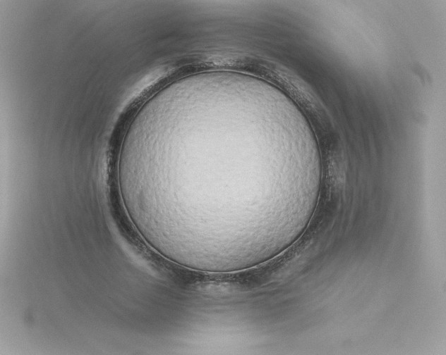 X0000115720730200911251916