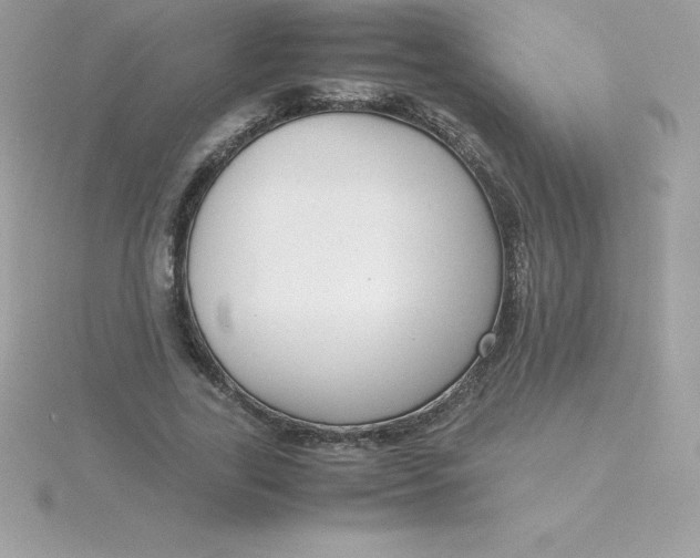 X0000115720731200911251916