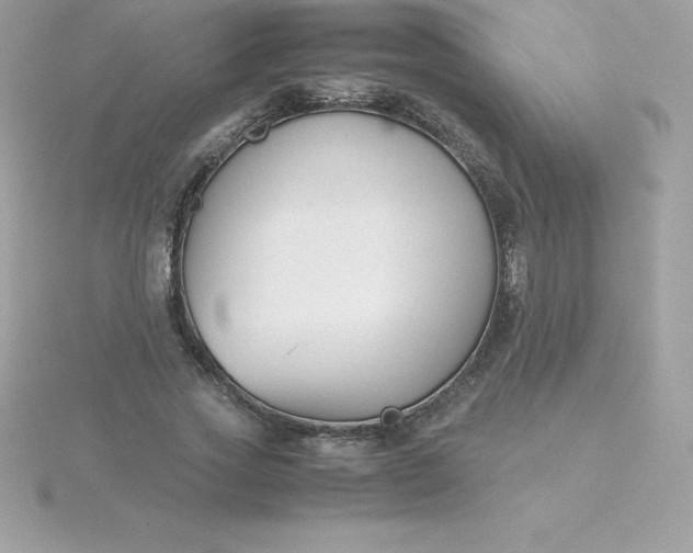 X0000115720733200911251916