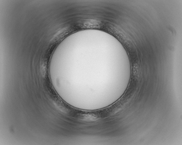 X0000115720741200911251916