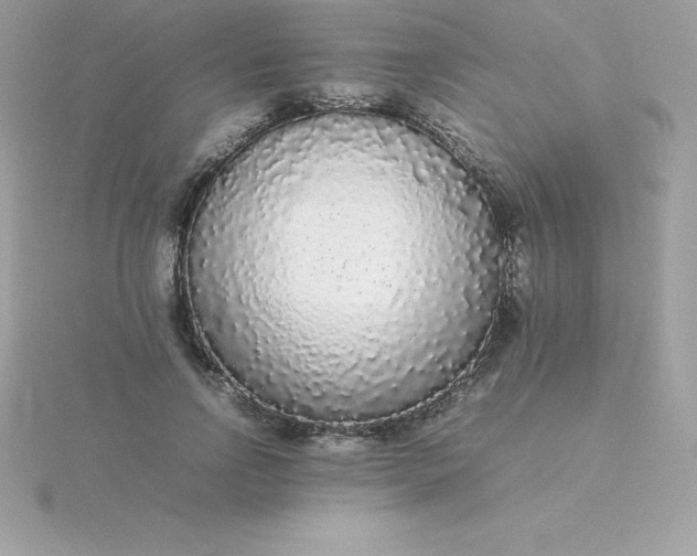 X0000115720742200911251916