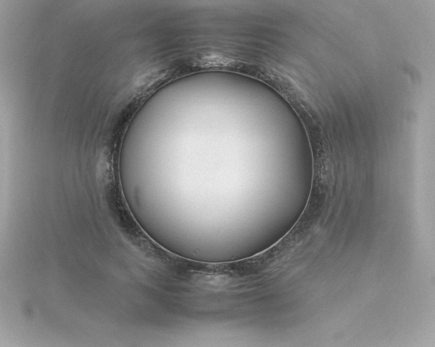 X0000115720743200911251916