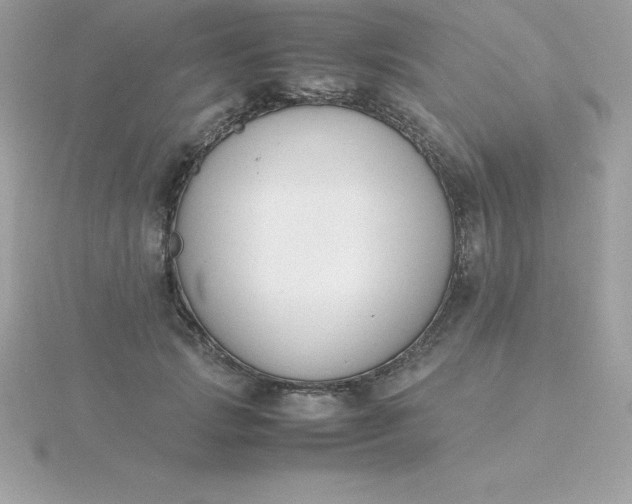 X0000115720749200911251916