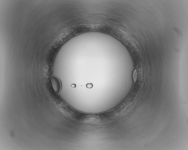X0000115720750200911251916