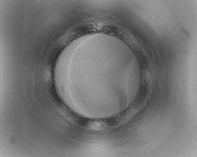 X0000115720754200911251916