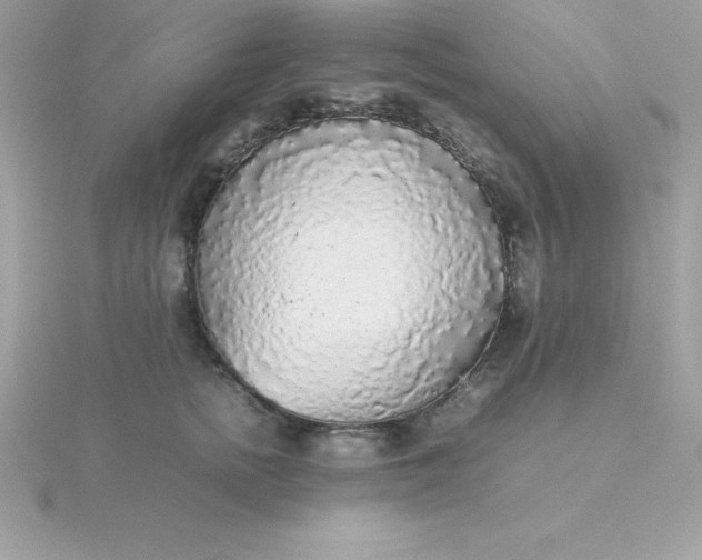 X0000115720758200911251916