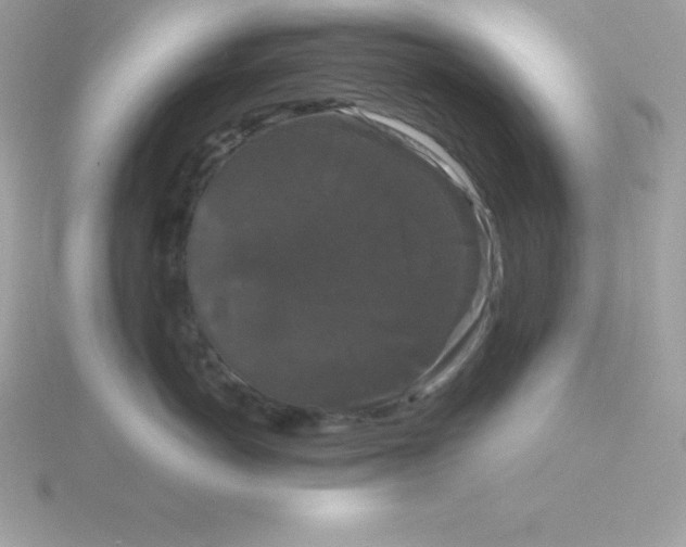 X0000115720766200911251916