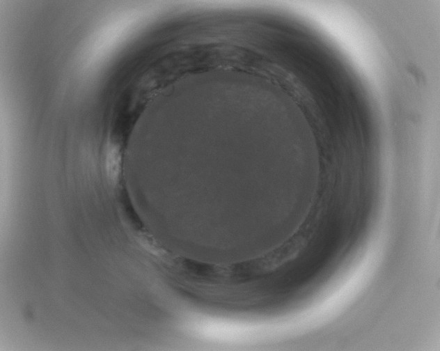 X0000115720767200911251917
