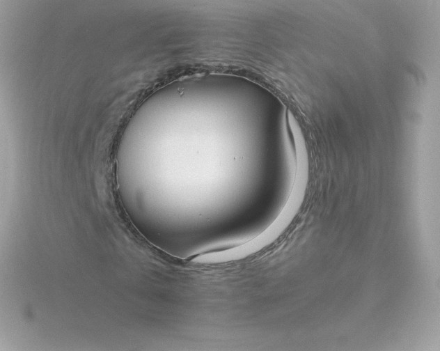 X0000115720769200911251916