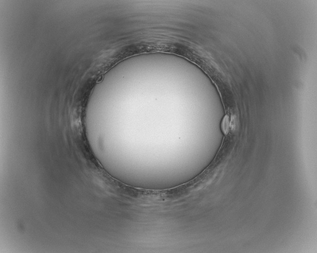 X0000115720771200911251916