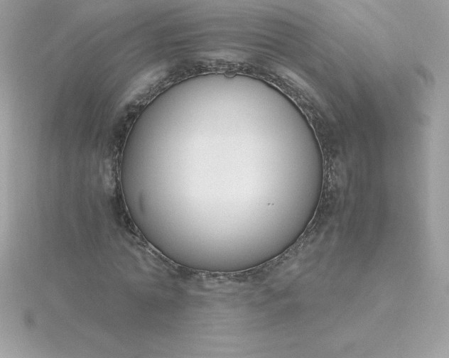 X0000115720774200911251916