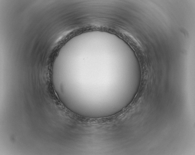 X0000115720776200911251916