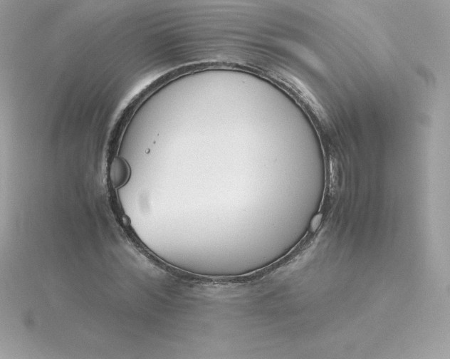 X0000115720780200911251916