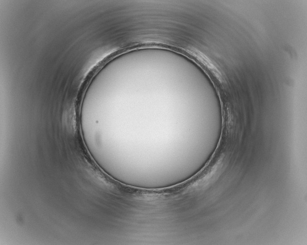 X0000115720782200911251916
