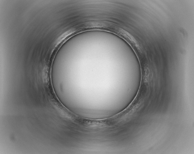 X0000115720786200911251916