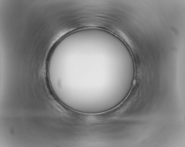 X0000115720787200911251916