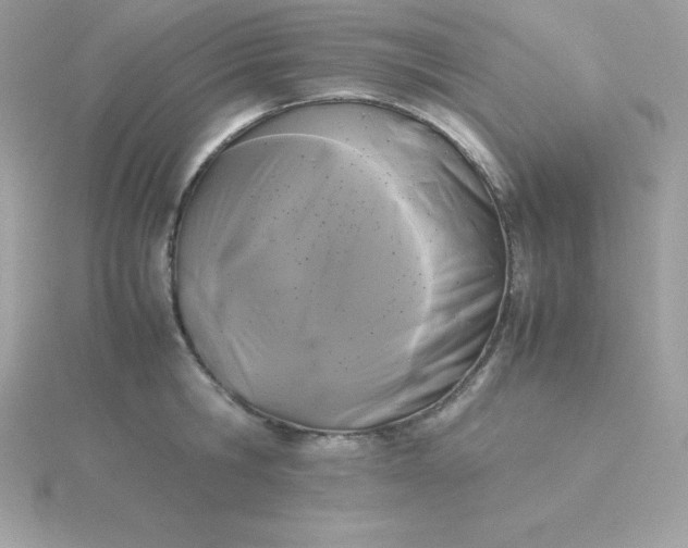 X0000115720806200911251915