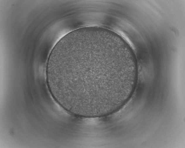 X0000115720810200911251915