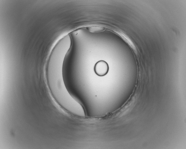 X0000115720813200911251915