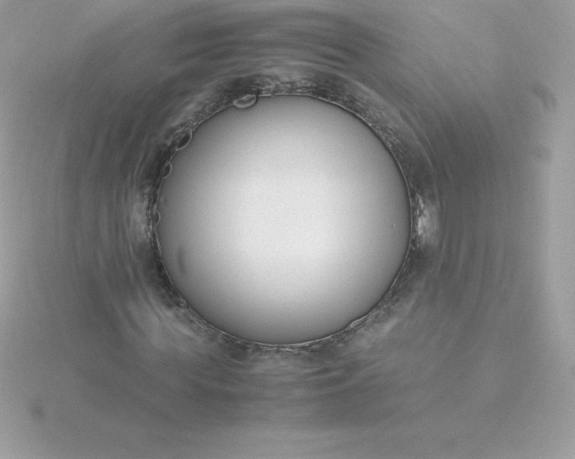 X0000115720819200911251915