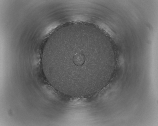 X0000115720824200911251915