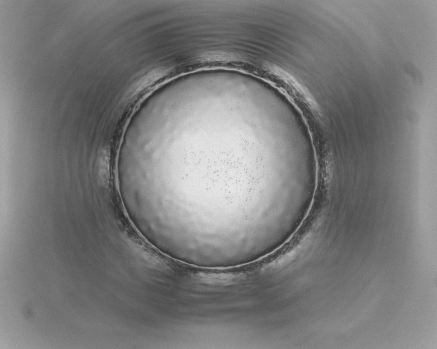 X0000115720825200911251915