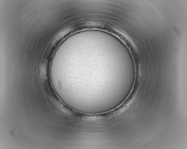 X0000115720826200911251915