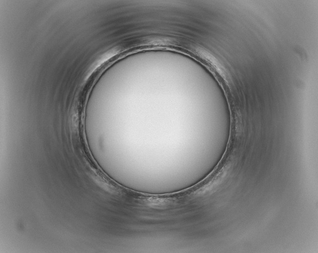 X0000115720827200911251915