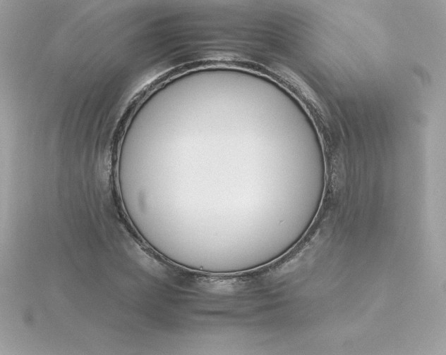 X0000115720831200911251915