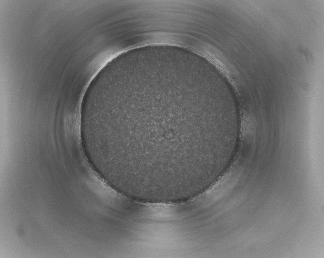 X0000115720836200911251915