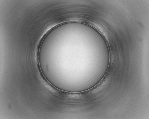 X0000115720843200911251915
