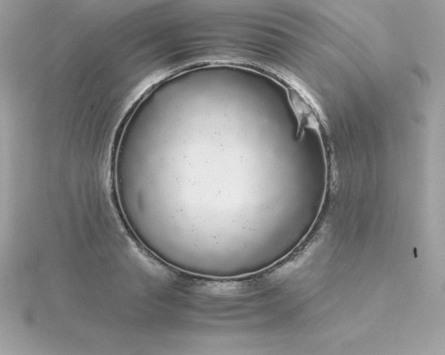 X0000115720845200911251915