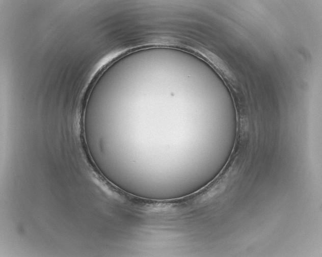 X0000115720846200911251915