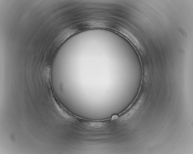 X0000115720849200911251915