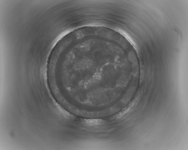 X0000115720853200911251915