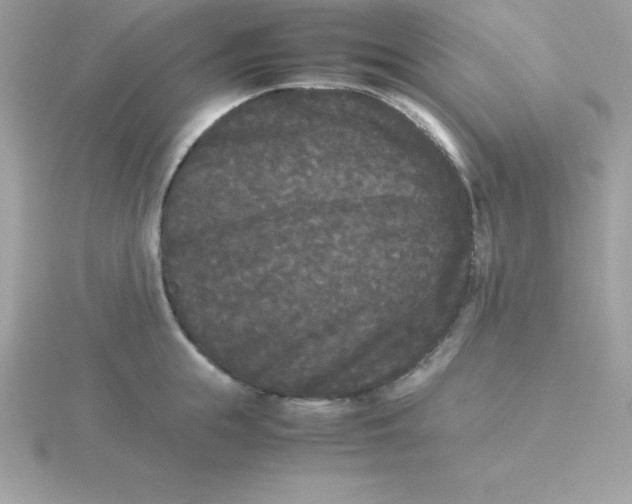 X0000115720855200911251915