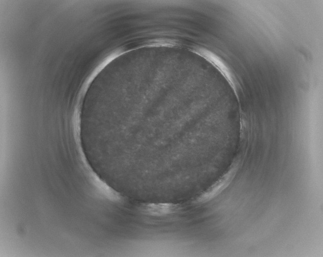 X0000115720859200911251915