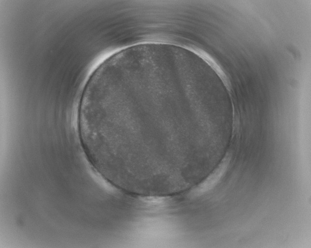 X0000115720862200911251915