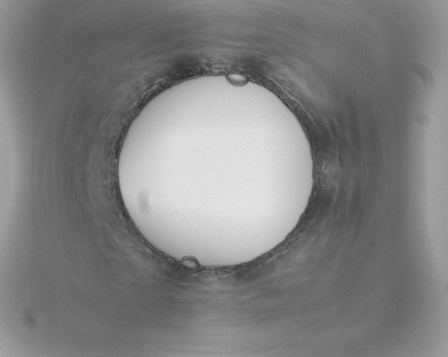 X0000115720865200911251915