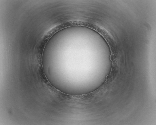X0000115720870200911251915